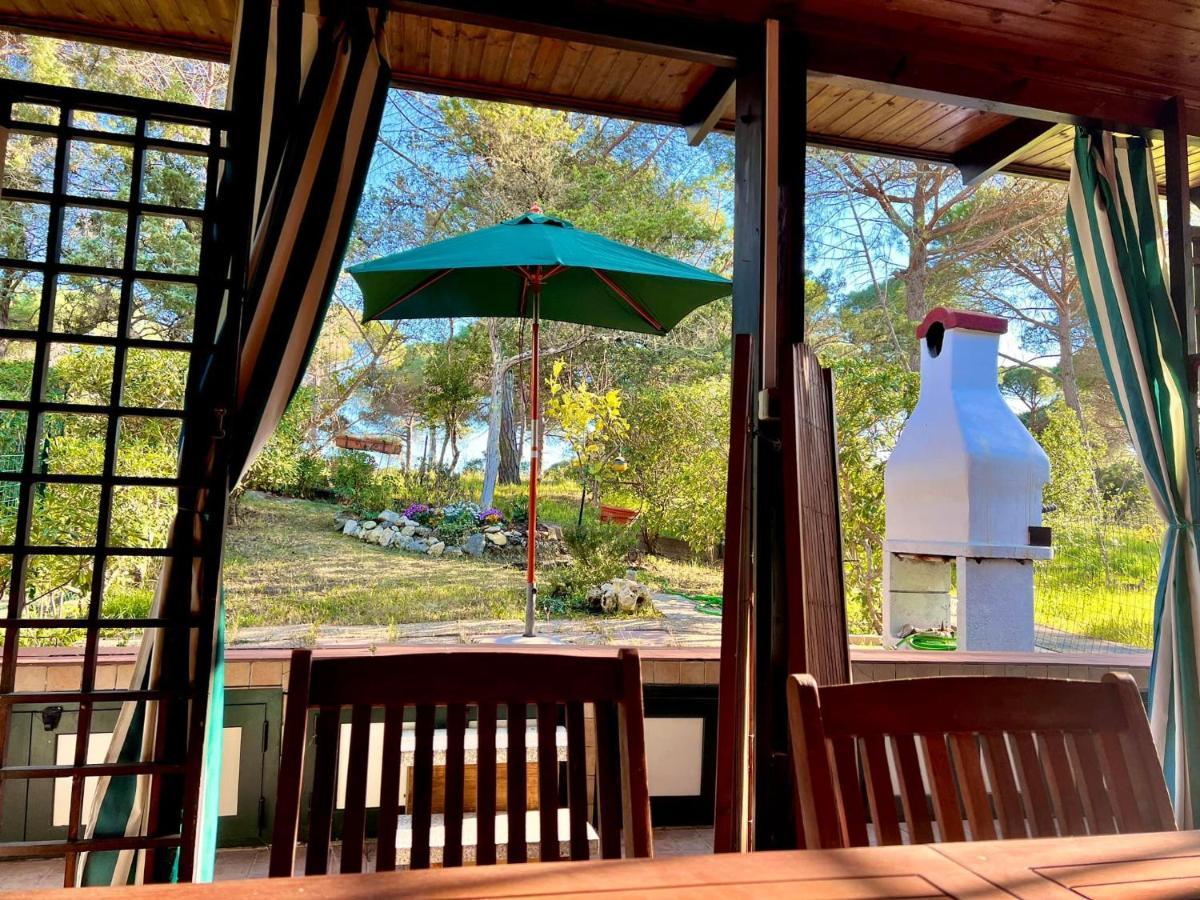 All'ombra Dei Pini - Casa Vacanze Pet Friendly *